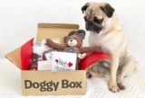 【ドギーボックス（Doggy Box）】おもちゃが大好きなわんちゃんに～サプライズいっぱい！