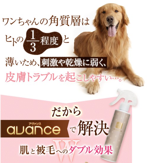 【アヴァンス（AVANCE）】犬の皮膚トラブルに！ワンちゃん用化粧水

