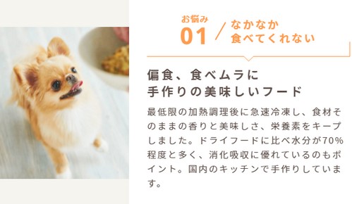 【ペトことフーズ（PETOKOTO FOODS）】人間が食べても美味しい国産手作りドッグフード
