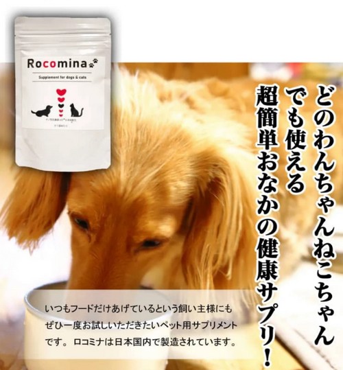 【ロコミナ（Rocomina)】愛犬・愛猫のおなかの健康を考えた乳酸菌サプリ
