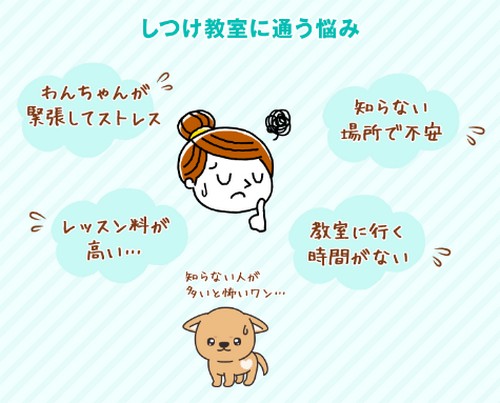 【パピーズアカデミー】愛犬がおりこうさんに育つ方法！
