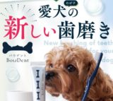 【バウデント（BowDent)】愛犬の歯が磨けるようになる！
