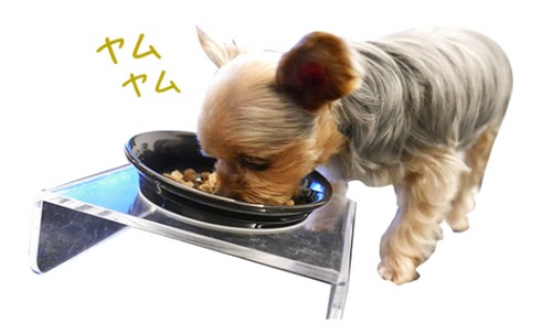【ヤムヤムヤム!シニア＆ライト】シニア犬(老犬)用 国産プレミアムドッグフード
