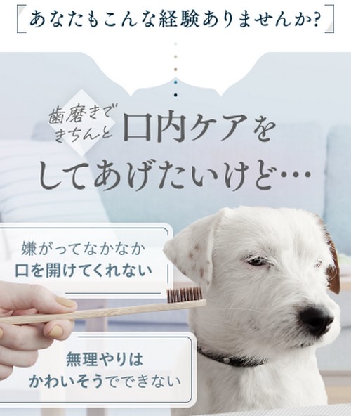 【バウデント（BowDent)】愛犬の歯が磨けるようになる！
