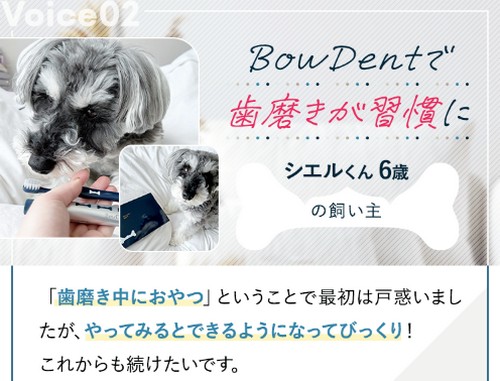 【バウデント（BowDent)】愛犬の歯が磨けるようになる！
