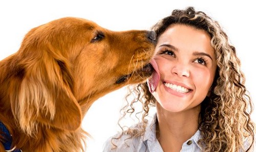犬とのキスは危険なの？キスで感染する病気って？
