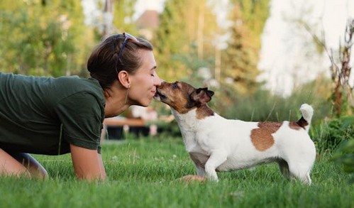 犬とのキスは危険なの？キスで感染する病気って？
