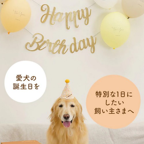 【マイベスティー（MyBESTiee)】愛犬の誕生日にハッピーバースデーBOX