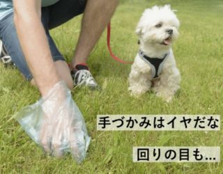 【運キャッチ】ウンチ問題を解決！犬用フンキャッチャー
