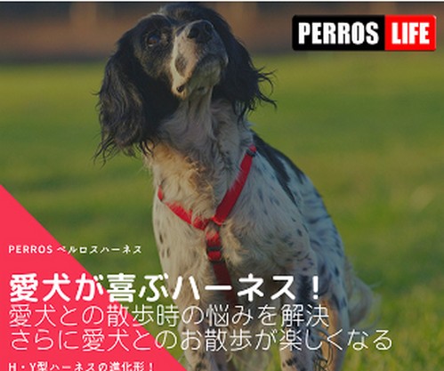 獣医師推奨【ペルロスハーネス(Perros)】犬の首や気管、肌の擦れ、脇の食い込みを与えない