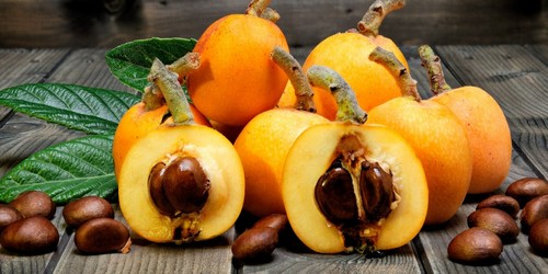 犬にびわを与えても大丈夫!注意点は?